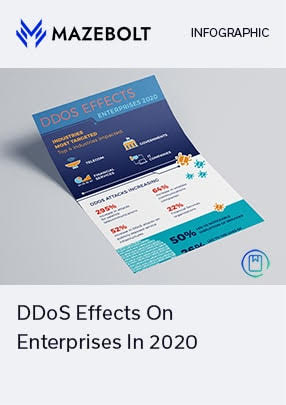 DDoS Effects on Enterprises 2020 
