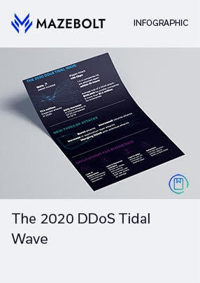 the-2020-ddos-tidal-wave